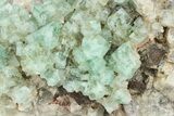 Fluorescent Green Fluorite Cluster - Diana Maria Mine, England #235380-1